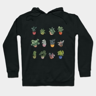 House  Plants illustration 2 Hoodie